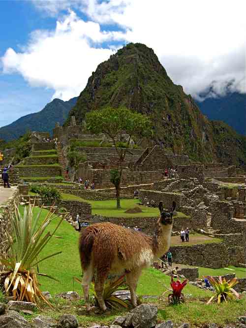 machu picchu