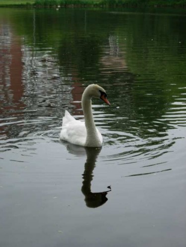 dscn2375